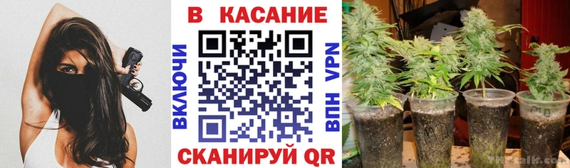Какие есть наркотики Пятигорск Амфетамин  Мефедрон  Галлюциногенные грибы  Кокаин  МАРИХУАНА 