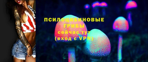 тгк Мегион