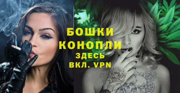 тгк Мегион