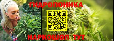 Альфа ПВП Донецк