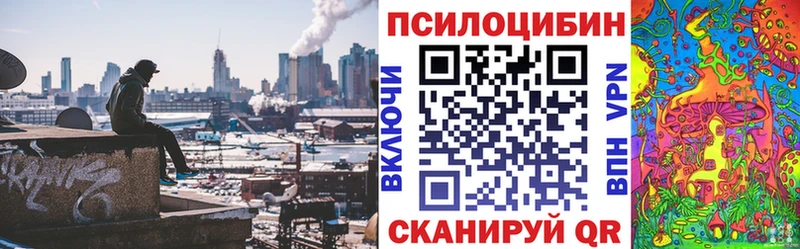 где найти наркотики  Пятигорск  Галлюциногенные грибы Psilocybine cubensis 