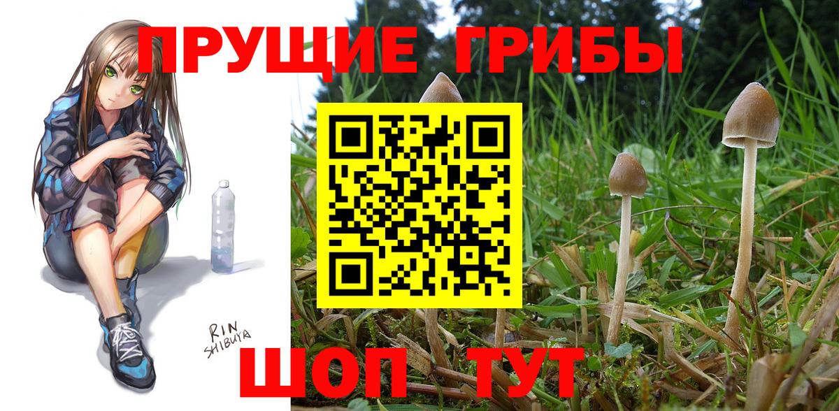 Галлюциногенные грибы ЛСД  Галлюциногенные грибы мицелий  Пятигорск 