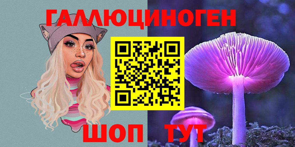 Псилоцибиновые грибы прущие грибы  Вход с VPN  Пятигорск 