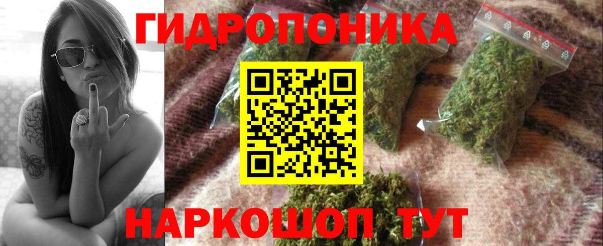 Бошки Шишки сатива  Бошки Шишки Ganja  Пятигорск 